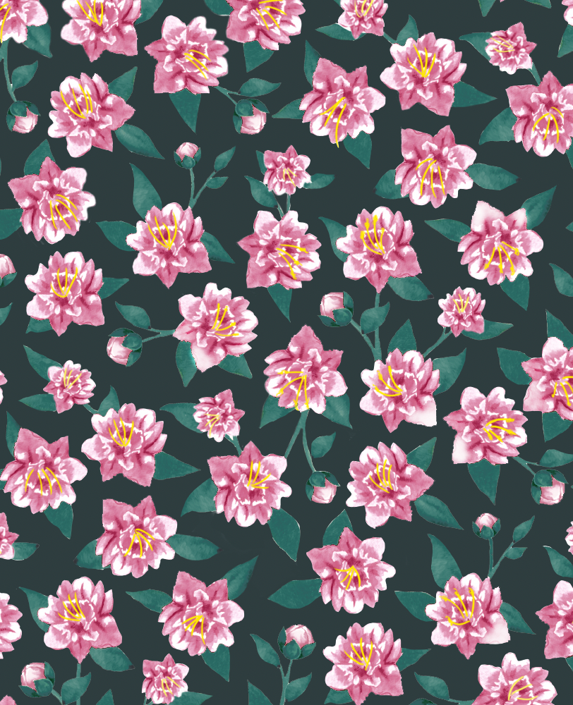 Peony_Ponderosa