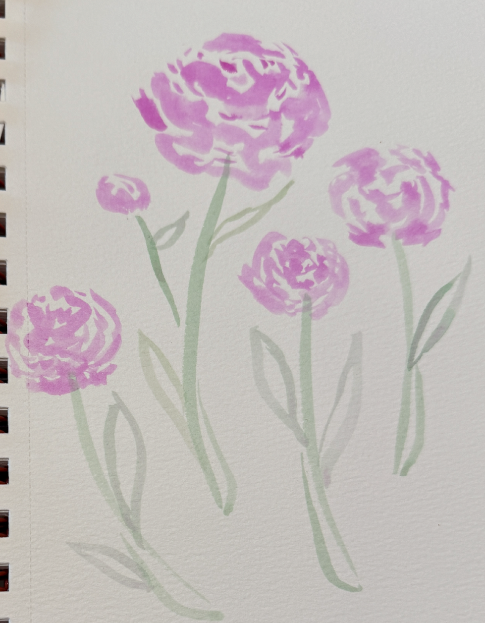 Peony_Watercolor