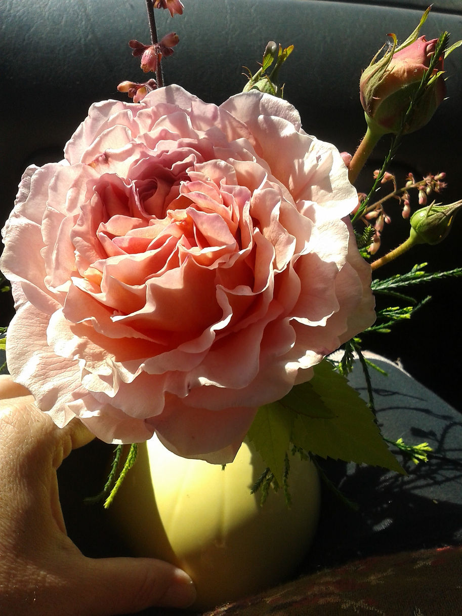 20150501_144558.jpg