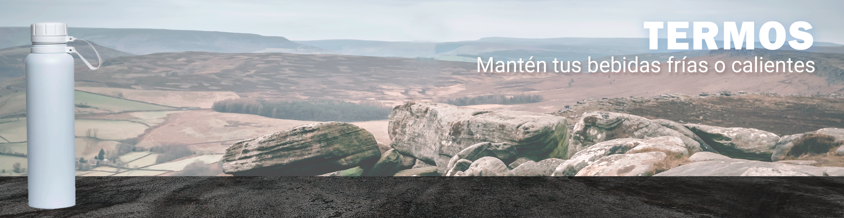 Termos Promocionales en México