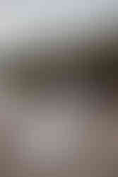 asian couple smiling at kangaroo point cliffs photography