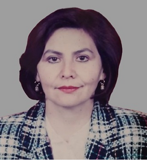 Captura de pantalla 2025-06-16 a la(s) 21.15.05.png