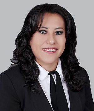 Captura de Pantalla 2024-05-26 a la(s) 17.09.32.png