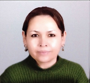 Captura de pantalla 2025-06-20 a la(s) 19.54.05.png