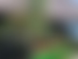 七夕