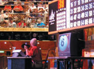 bingo_tour.png