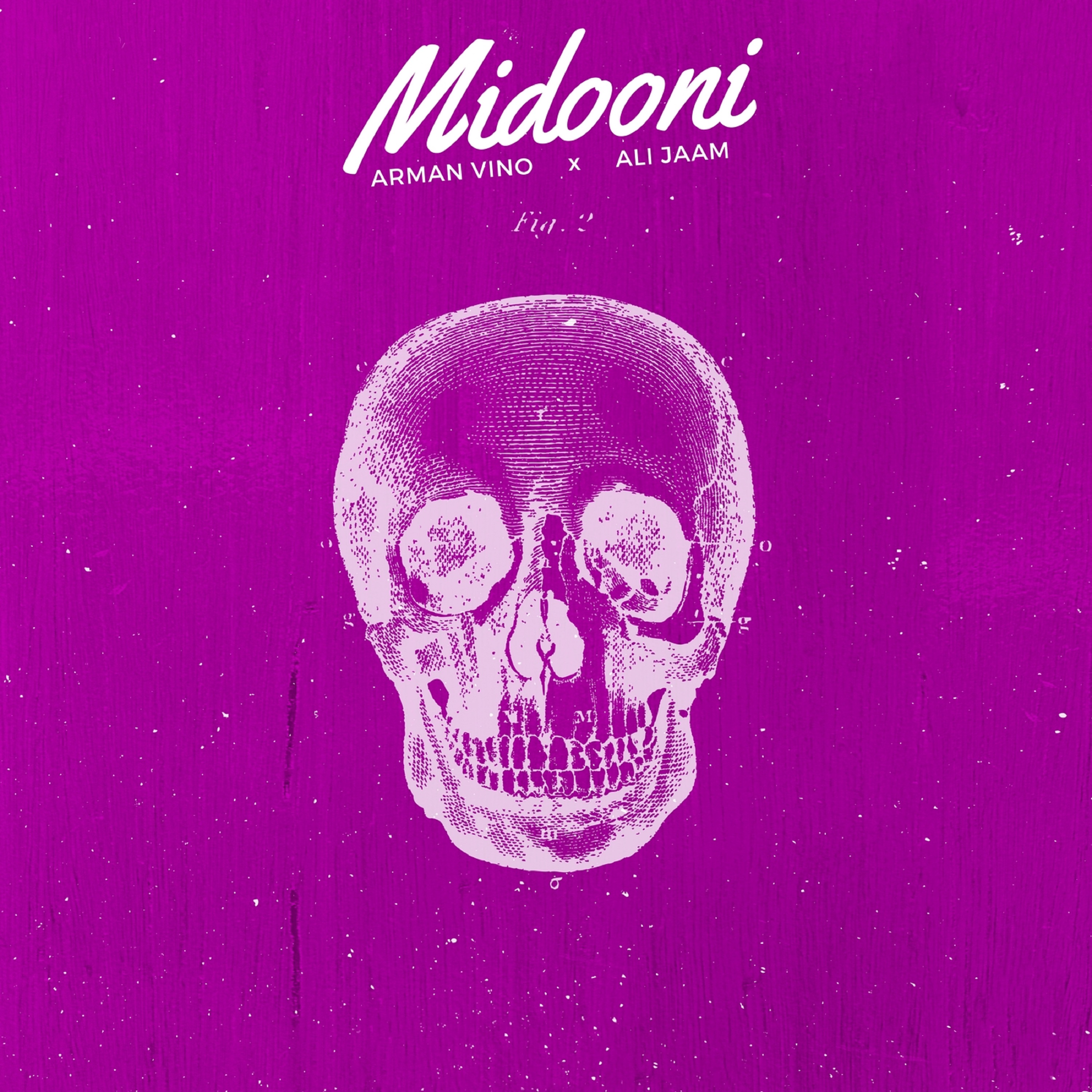 Midooni Digital websites.jpeg