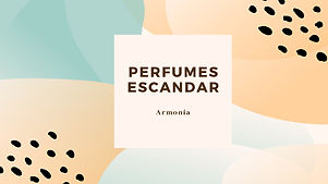 armonia-4.jpg