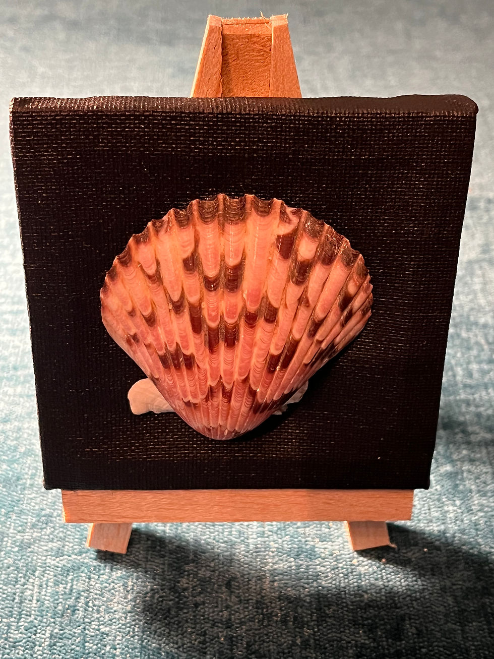 Thumbnail: Ocean Treasures  Small Black Canvas with Pink Shell on Easel