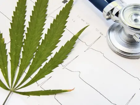 En España, el consumo de marihuana es común entre los jóvenes de 15 a 34