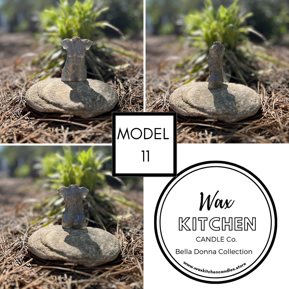 MODEL SHAPE 11