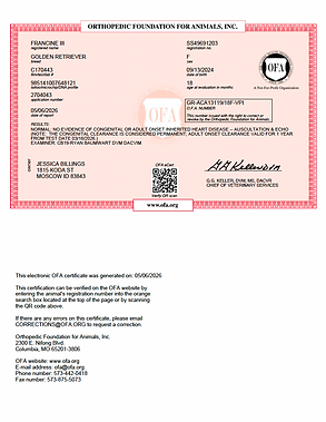 Screenshot 2026-08-05 at 12.01.39 PM.png