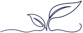 illustration_plante.png