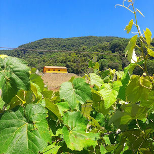 Vereador Givago celebra aniversário do grupo Pedalamigos em pedal pela Região Central
