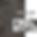 she said services banner_v2.png