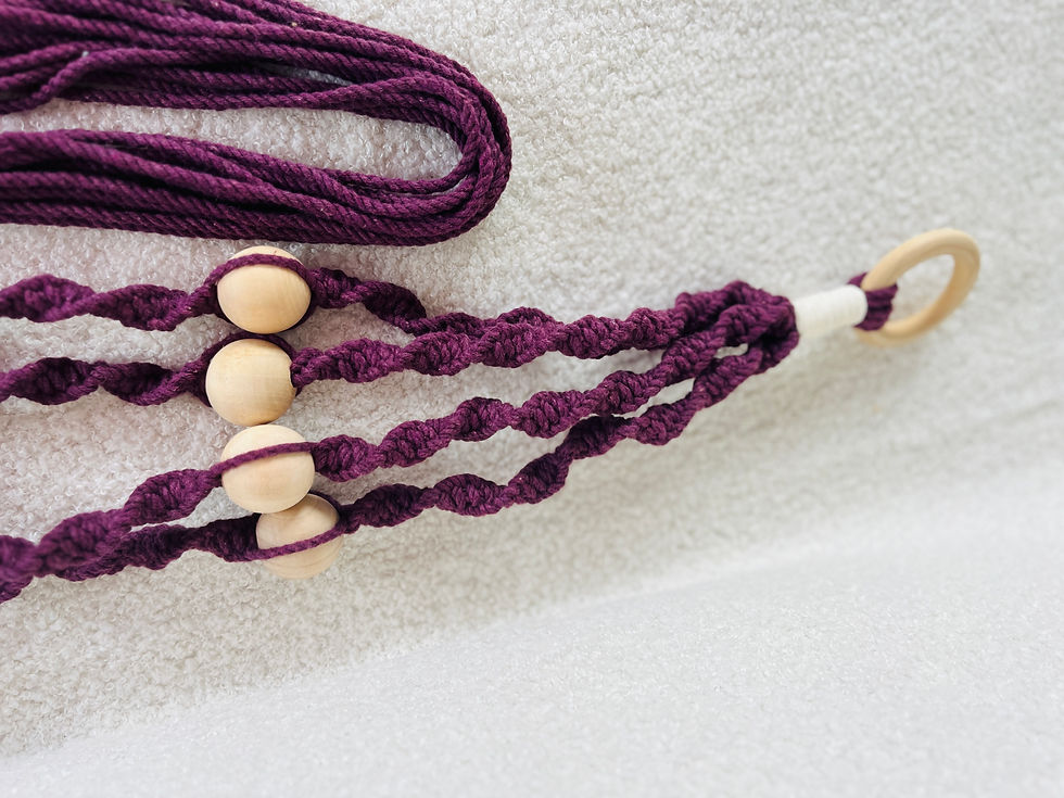 Miniature : Suspension plante violet