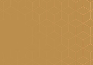 background4.jpg