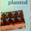 Thumbnail: Planted