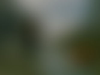 CRÍTICA | JURASSIC WORLD - RECOMEÇO