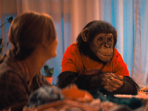 CRÍTICA | O PRIMATA