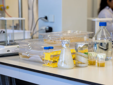 One Year of Foamlab: Growing with Purpose