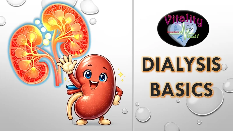 Kidney cartoon, kidney image, vitality logo, Dialysis Basics Title Page