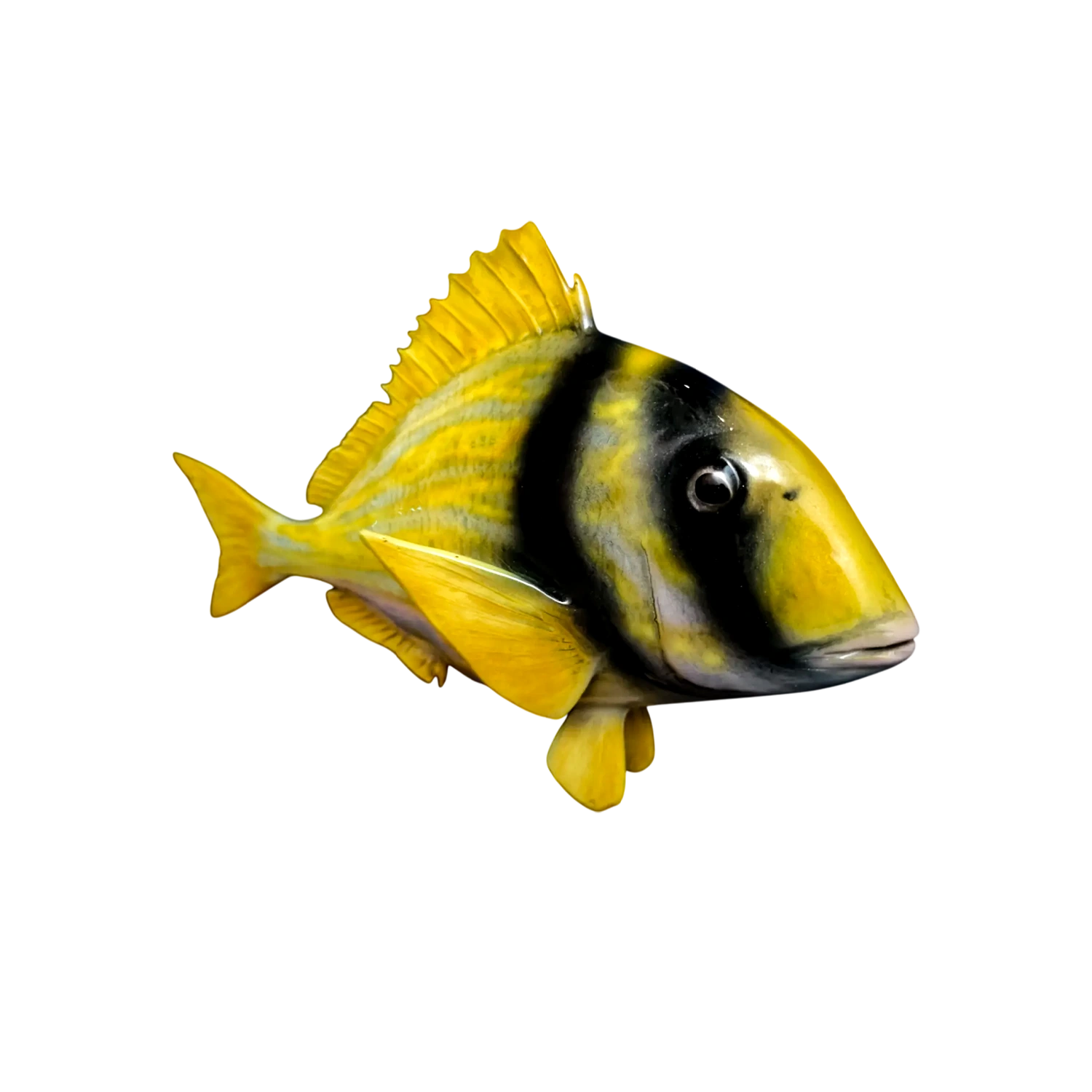 Porkfish Fish Mount Replica