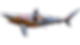 48-inch half-mount blacktip shark with a custom WWII bomber design featuring a pilot skull, pin-up a