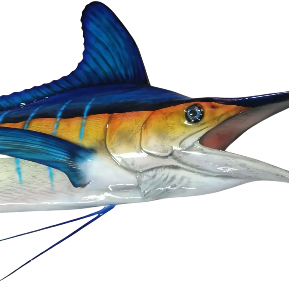 Thumbnail: white marlin replica full mount close-up of face open mouth gill cover pelvic fin detail