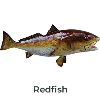 Redfish fiberglass mount featuring golden-red tones, painted by Greg Cassell. 