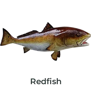 Redfish fiberglass mount featuring golden-red tones, painted by Greg Cassell. 