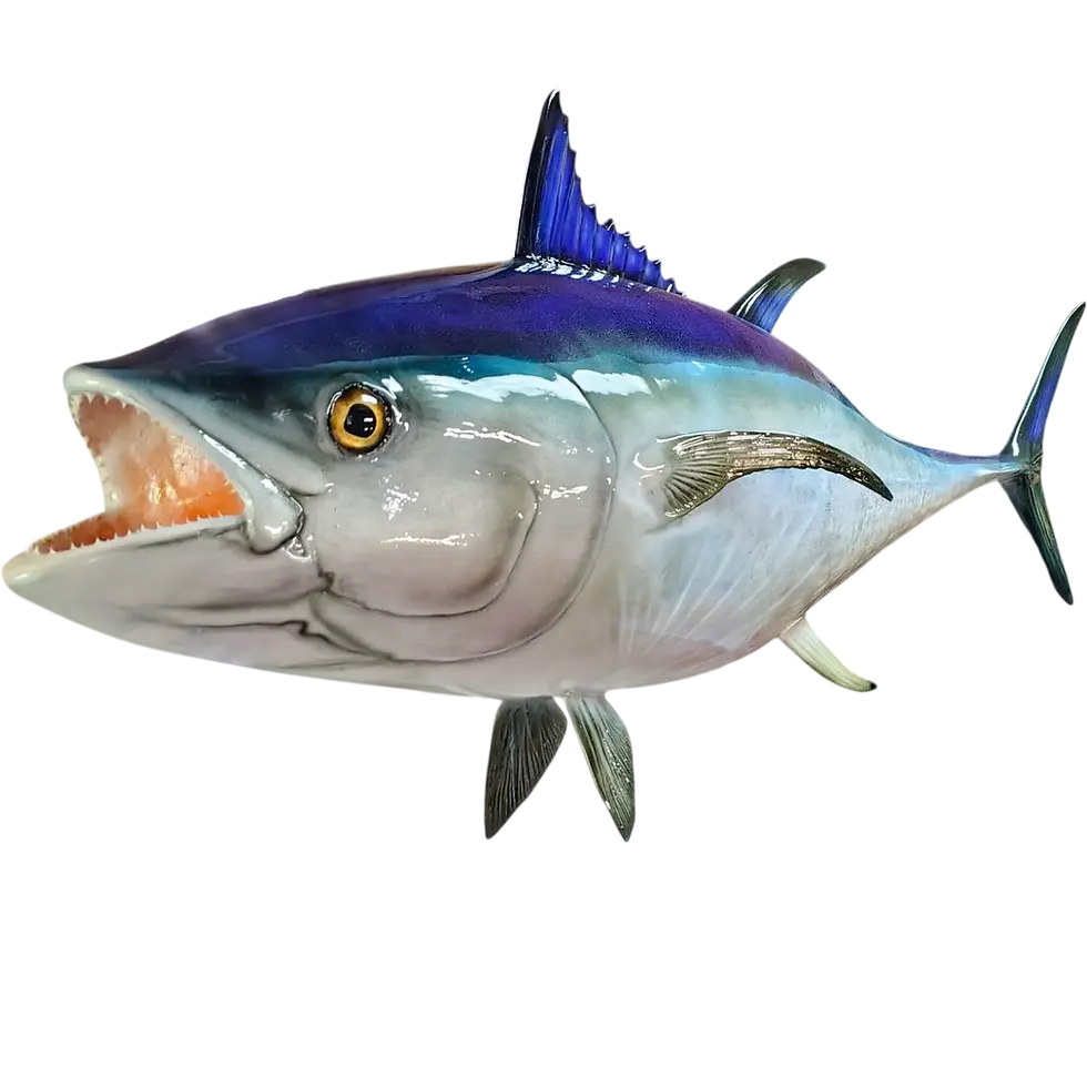 Thumbnail: 60 inch Bluefin Tuna replica mount painted to match angler's catch photo