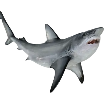 90 inch bull shark full mount fiberglass replica, open-jaw pose, painted by artist Greg Cassell at Florida Fish Mounts