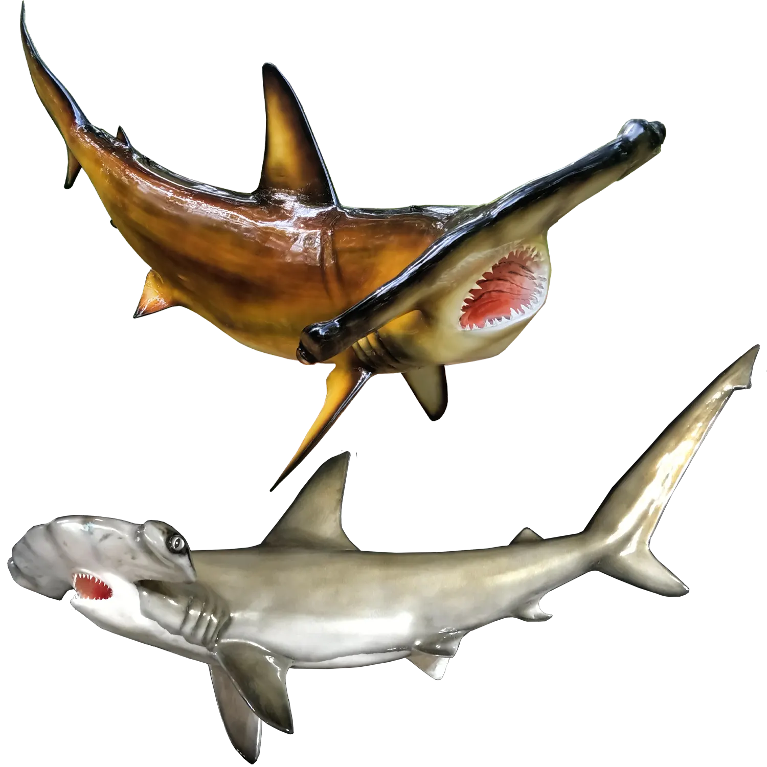 Hammerhead Shark Mount Replicas