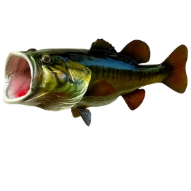Largemouth bass full fiberglass mount displayed on a wooden wall, showcasing lifelike details and a realistic finish.