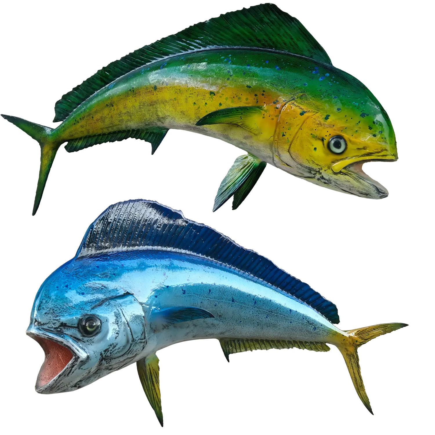 Mahi Cow Fish Mount Replicas