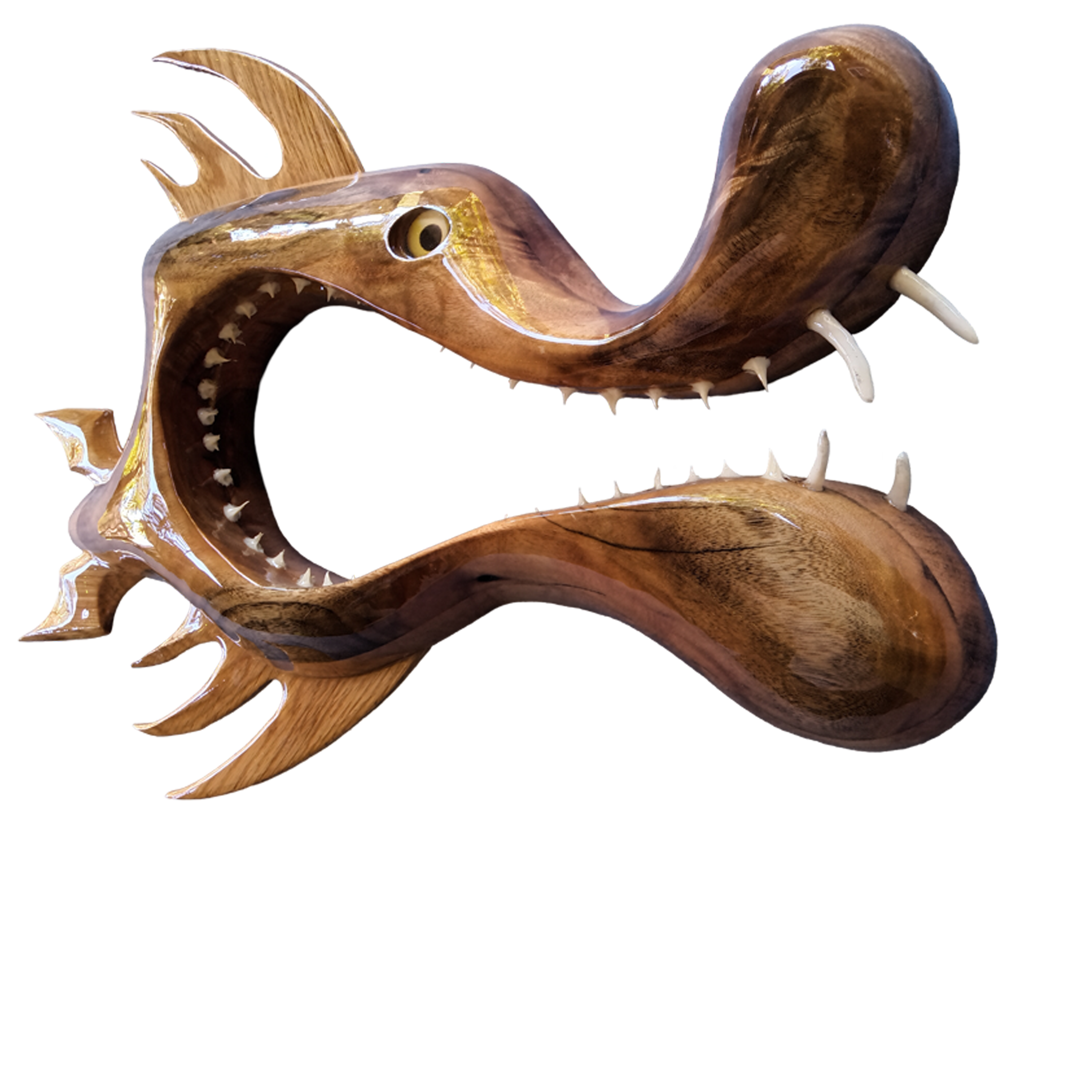 Handcrafted Hog Snapper Exotic Wood Mount featuring Black Cherry, Camphor, and Oak, sculpted by Greg Cassell.