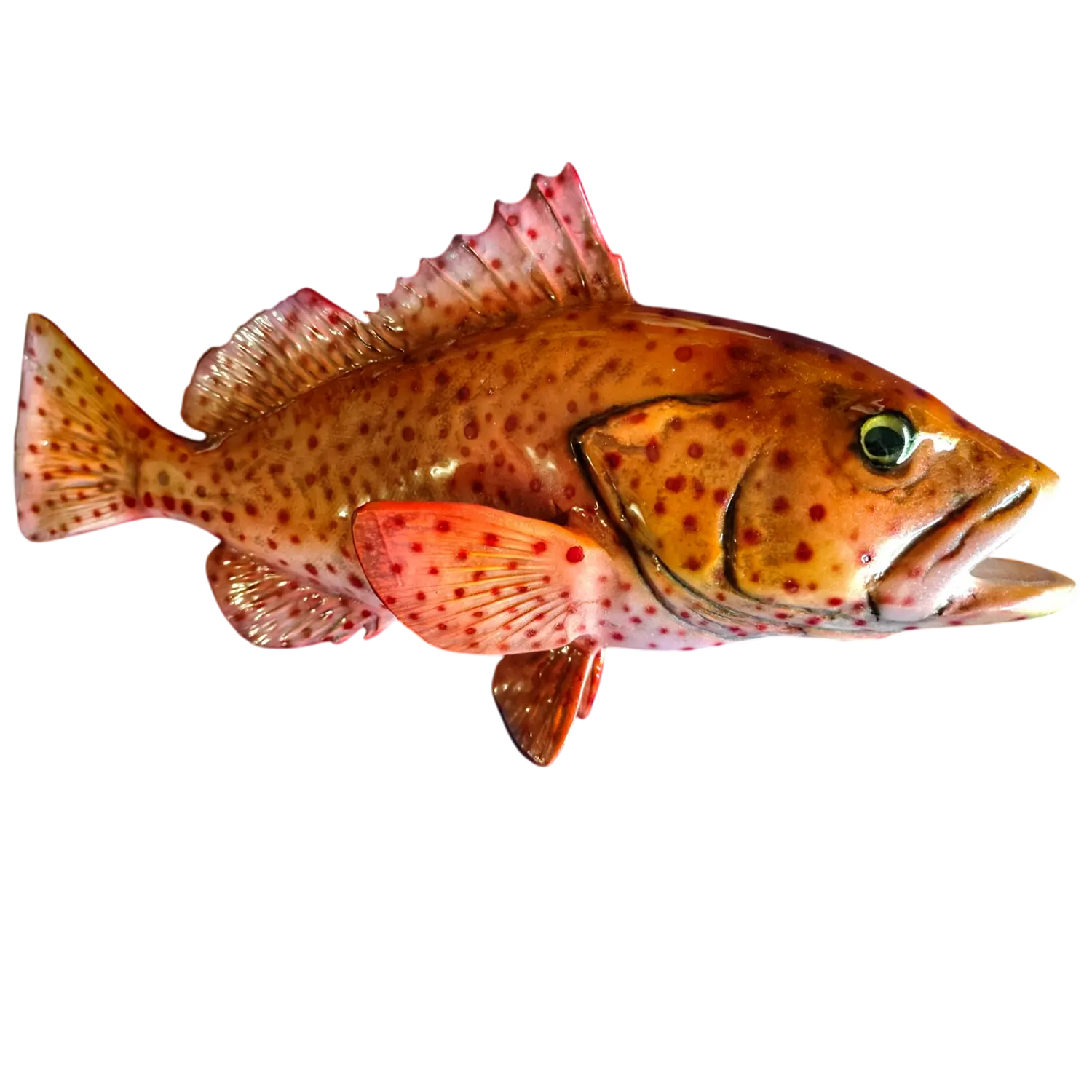 Strawberry Grouper Fish Mount Replica