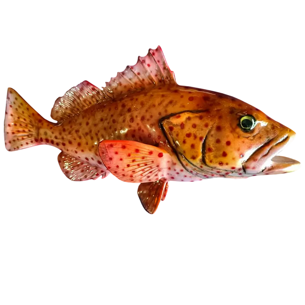 Custom fiberglass strawberry grouper full fish mount replica painted to match angler's catch photo
