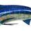 Thumbnail: Blue Marlin replica half mount side profile showing fins, striping and glass eye detail