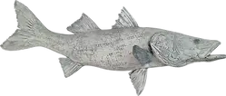 Antiqued Snook full mount showing enhanced scale definition and bone detail