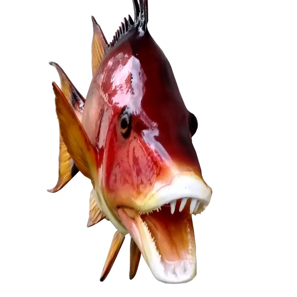 Thumbnail: Hogfish fiberglass fish mount featuring an open mouth and hand-painted face detail.