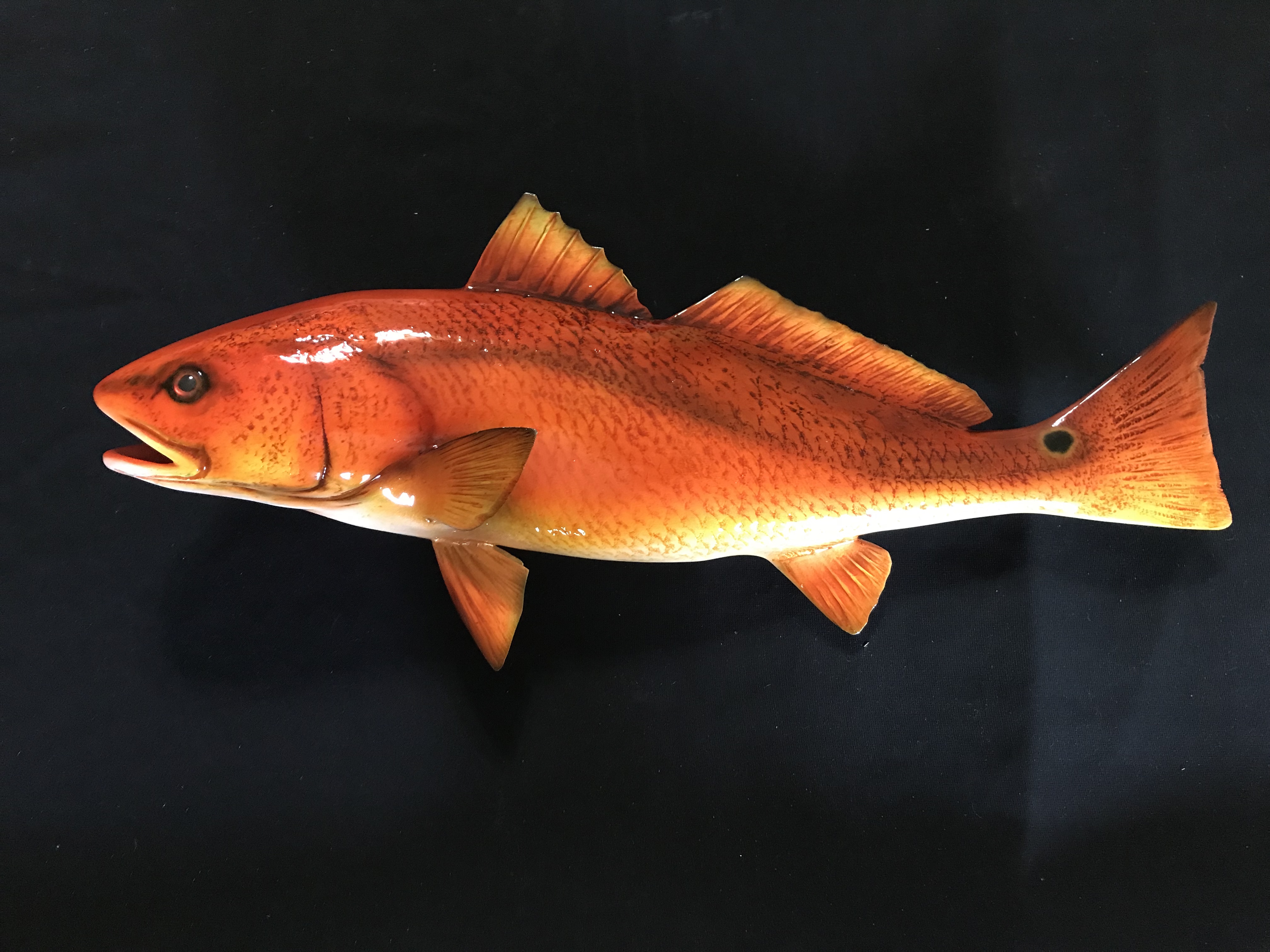 Redfish