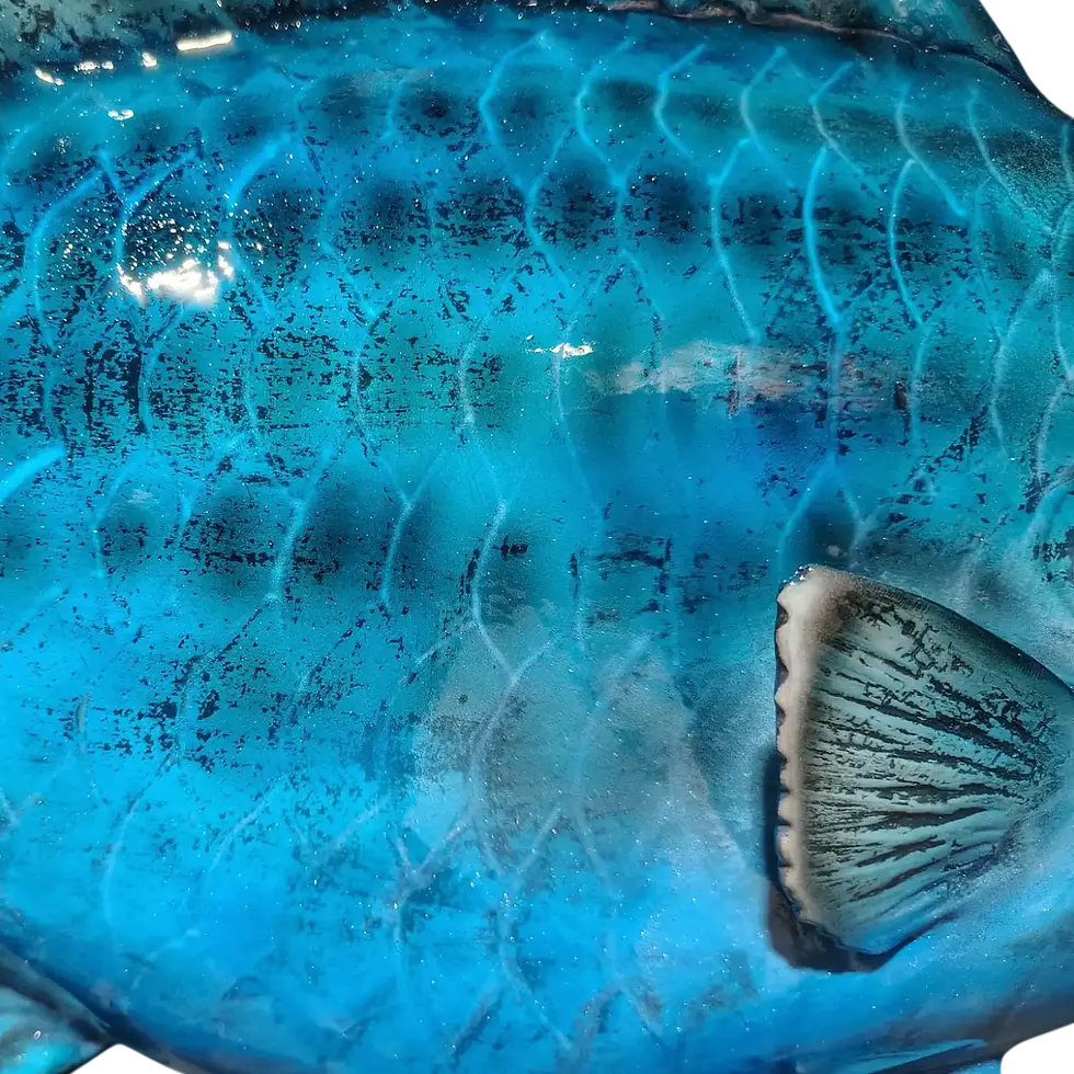 Thumbnail: Macro close up of bright blue Parrotfish scales showing physical texture and glossy paint.