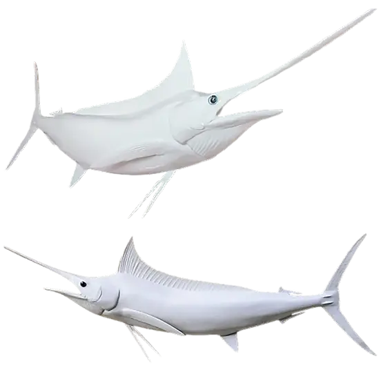 ブルー  マーリン  オブジェ   外国製 Custom Blue Marlin Mount Replica – Gloss White Edition