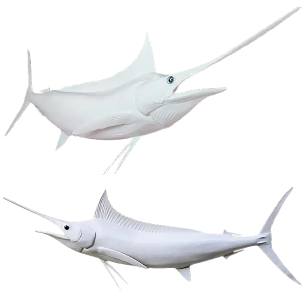 Gloss white blue-eyed Blue Marlin mount replica in dual-view — angled 3D pose above, wall-mounted flat view below.