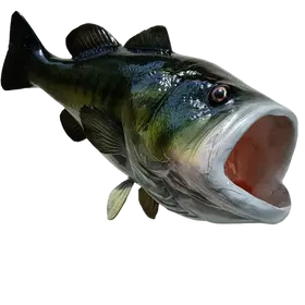 Downward angle shows the Largemouth Open on the Bass replica
