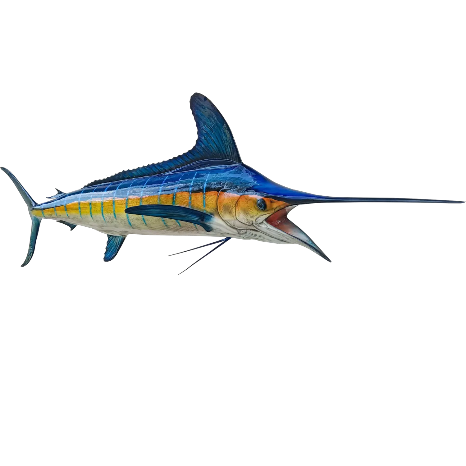 White Marlin Fish Mount Replica