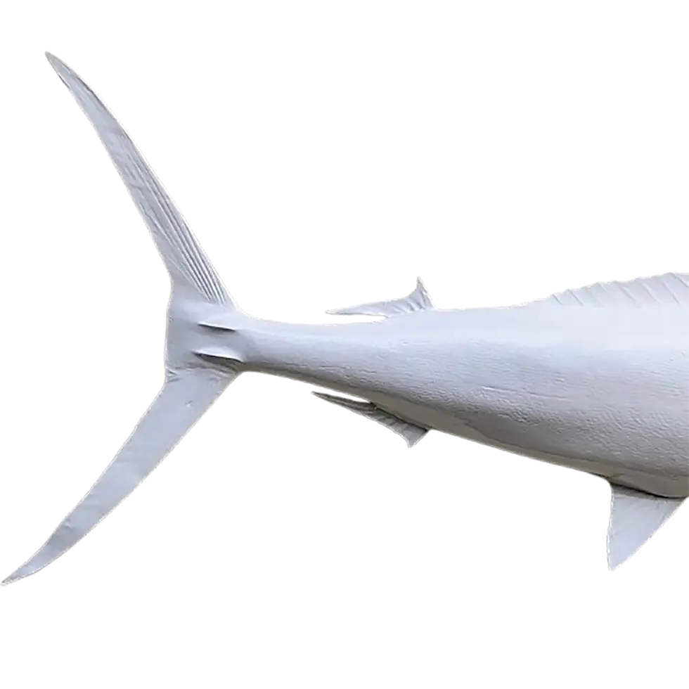Thumbnail: Close-up of Blue Marlin mount's tail in gloss white, highlighting detailed molding.