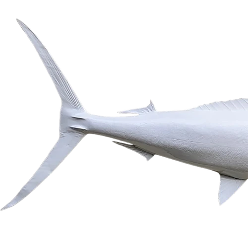 Custom Blue Marlin Mount Replica – Gloss White Edition